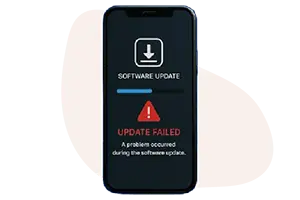 software issue services