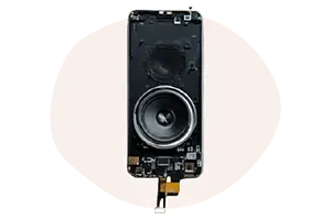 Speaker issue service